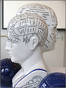 Physiognomik